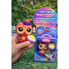 Toyfest Littlest Pet Shop Seri 4 Tekli Figür Miniş Baykuş #226 Sürpriz Aksesuarlı Koleksiyonluk Oyuncak Özel