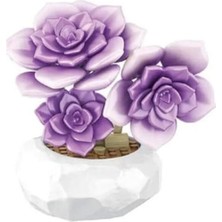 NW Nessi World P657061 Mor Sukulent Model 76 Parça Block Oyuncak