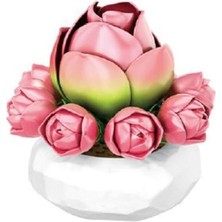 NW Nessi World P655059 Zambak Sukulent Model 41 Parça Block Oyuncak