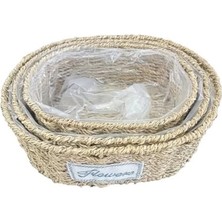 Nexgen Oval Doğal Hasır Saksı Seti - 3'lü