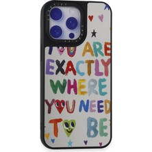 Feedback Newface iPhone 15 Pro Max Kılıf Mirror Desenli Kapak - Mirror - 10