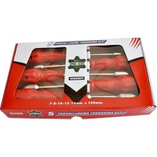 SHC4200 Pro-Scr 02677 Lokma Tornavida Seti 5 Parça