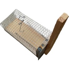 SHC4200 Ennalbur Kafes Tipi