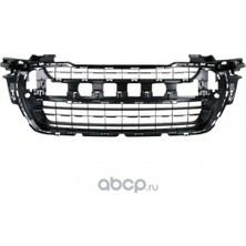 TŞT Peugeot 308 Ön Tampon Panjuru Orta 2011- (Oem No:  7422AP)