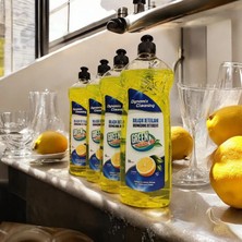 Dynamix Wash Green Home Elde Bulaşık Yıkama Deterjanı 750 ml x 4