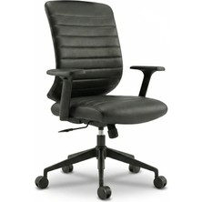 Zıeno Wındy Le Çalışma Koltuğu