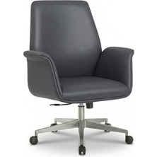 Zıeno Auras Çalışma Koltuğu