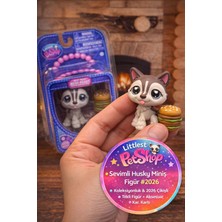 Toyfest Littlest Pet Shop Seri 4 Tekli Figür Miniş Husky Dog #240 G7 2026 Orijinal Koleksiyonluk Oyuncak Lps