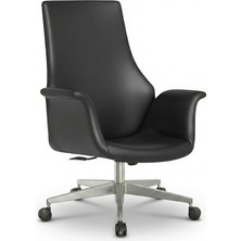 Zıeno Senator Çalışma Koltuğu