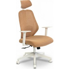 Zıeno Bıxı Yönetici Koltuğu