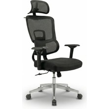 Zıeno Sora Yönetici Koltuğu