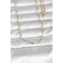 Evyora cm 14K Gold Renk Ataç Zincirli Model 60 cm Kadın Kolye
