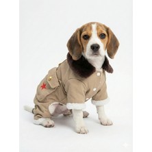 Oblavion Polar Star Jacket / Köpek Montu
