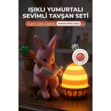 Işıklı Yumurtalı Sevimli Tavşan Figürü - Ledli Dekoratif Masa Süsü