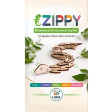Stemist Box: Zippy