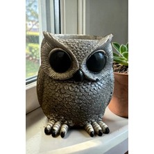 Libre Design Dekoratif 11 cm Gri Baykuş Kaktüs Sukulent Saksı Ev Balkon Bahçe Süsü Dekorasyon Bohem Heykel Biblo