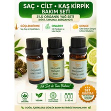 Aliye's Planet 3’lü Organik Yağ Set (Hint, Tamanu, Bergamot) | Cilt, Saç ve Kaş Kirpik Bakım Seti
