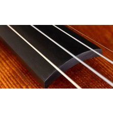 Lichtenberg VF850 Keman