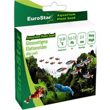 Eurostar Bitki Tohum Small Leaf Base Plant