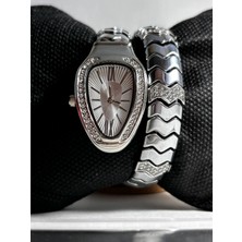 Taş Detaylı Yılan Model Kadın Saat