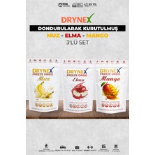 Drynex 3’lü Meyve Seti (Muz, Elma, Mango) | Şekersiz Doğal Atıştırmalık | Sporcu & Diyet Uyumlu