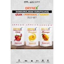 Drynex 3’lü Meyve Seti (Çilek, Portakal, Mango) | Şekersiz Doğal Atıştırmalık | Sporcu & Diyet
