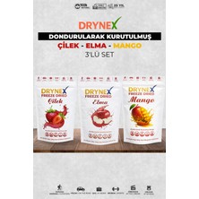 Drynex 3’lü Meyve Seti (Çilek, Elma, Mango) | Şekersiz Doğal Atıştırmalık | Sporcu & Diyet Uyumlu