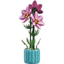 Dostoys 101-8 Blok Oyuncak Saksı Bitkisi Açelya  6+