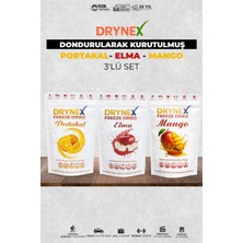 Drynex 3’lü Meyve Seti (Portakal, Elma, Mango) | Şekersiz Doğal Atıştırmalık | Sporcu & Diyet Uyumlu