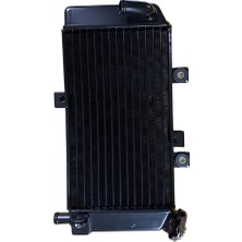 Cf Moto NK250 Radyatör Komple