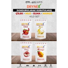 Drynex 4’lü Meyve Seti (Çilek, Muz, Elma, Mango) | Şekersiz | Sporcu Atıştırmalık