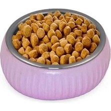 Mikopet Organik Seramik Mama Kabı Pembe