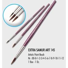 Kitabevimden Samur Fırça Sulu Boya Extra Kalem Midilli Kıl 16-12-Lı-Pkt