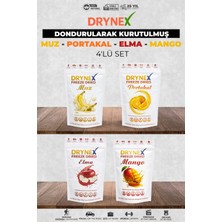 Drynex 4’lü Meyve Seti (Muz, Portakal, Elma, Mango) | Şekersiz | Sporcu Atıştırmalık