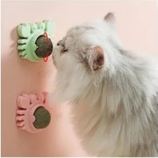 Yengeç Kedi Otu Oyun Topu