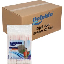 Dolphin Kağıtlı Pipet 100 Adet x 100 Paket Koli