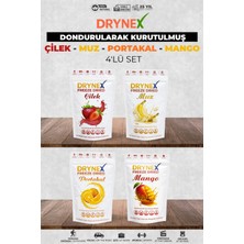 Drynex 4’lü Meyve Seti (Çilek, Muz, Portakal, Mango) | Şekersiz | Sporcu Atıştırmalık