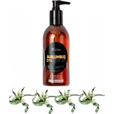 Süper Burlumbuş Otu Bakım Masaj Jeli 120 ml x 1 Adet