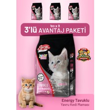 Cat food energy Tavuklu Yavru Kedi Maması 1 kg - 3 Adet