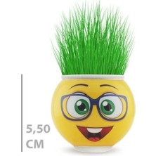 Çim Adam Saksı Emoji Figürlü 1 Adet