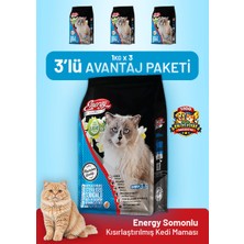 Cat food energy Somonlu Kısırlaştırılmış Kedi Maması 1 kg - 3 Adet