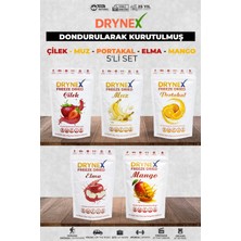 Drynex 5’li Meyve Seti (Çilek, Muz, Portakal, Elma, Mango) | Şekersiz Sporcu Atıştırmalık