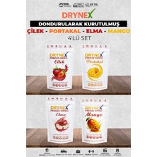 Drynex 4’lü Meyve Seti (Çilek, Portakal, Elma, Mango) | Şekersiz | Sporcu Atıştırmalık