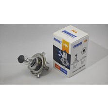 PINUKS 24V H4 75/70W P43T Halogen Ampul Adet  PİNUKS-RHL1004