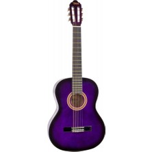 Valencia VC101TPPS Klasik Gitar 1/4 Mor Sap Çelikli