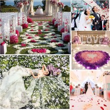 Zenvia Beyaz Renk Gül Yaprağı Şekilli Konfeti 10 Paket 1000 Adet