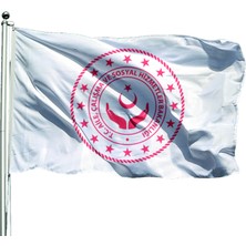 Özel Flama Bayrak Aile ve Sosyal Hizmetler Bakanlığı Gönder Bayrağı 70X105 cm Raşel Kumaş