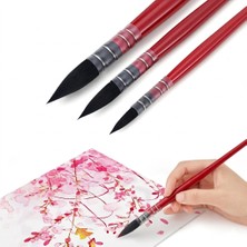 Hannah Sulu Boya Fırçası Seti, 3 Parçalı Fırça Seti, Sanatçılar, Yetişkinler ve Hobi Meraklıları Için, Sulu Boya Için Sivri Uçlu Yuvarlak Dolgun Fırça