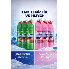 Domestos Beyaz Sabun Ferahlığı ve Dağ Esintisi Çamaşır Suyu 750 ml x 3 Konsantre Koku
