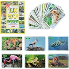 1352 Flash Cards Ilk 50 Hayvan